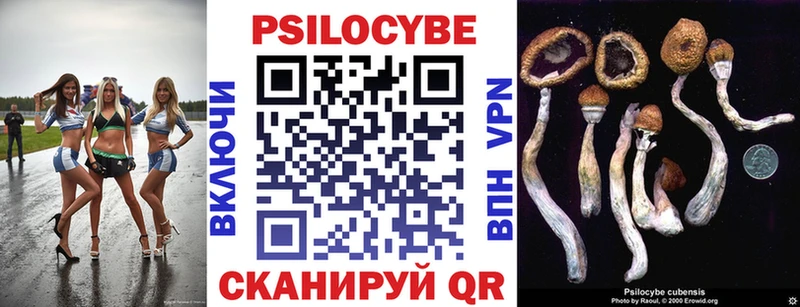 kraken ТОР  как найти наркотики  Ессентукская  Псилоцибиновые грибы Magic Shrooms 