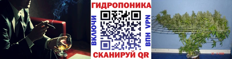 где найти наркотики  Ессентукская  Шишки марихуана Ganja 